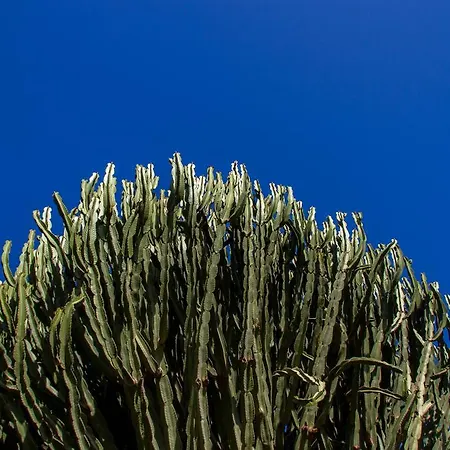 Bouganville Bed & Breakfast