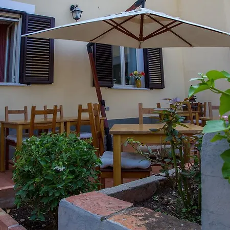Bouganville 3*