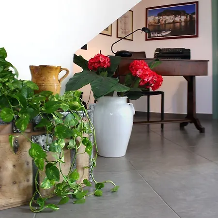 Bouganville Bed & Breakfast