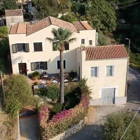 Bouganville 3*