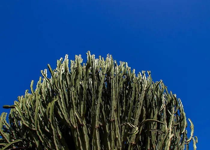 Bouganville Bed & Breakfast